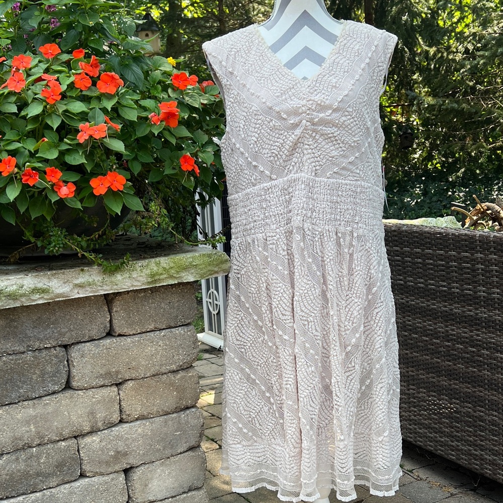New Jessica Howard lace stretch dress